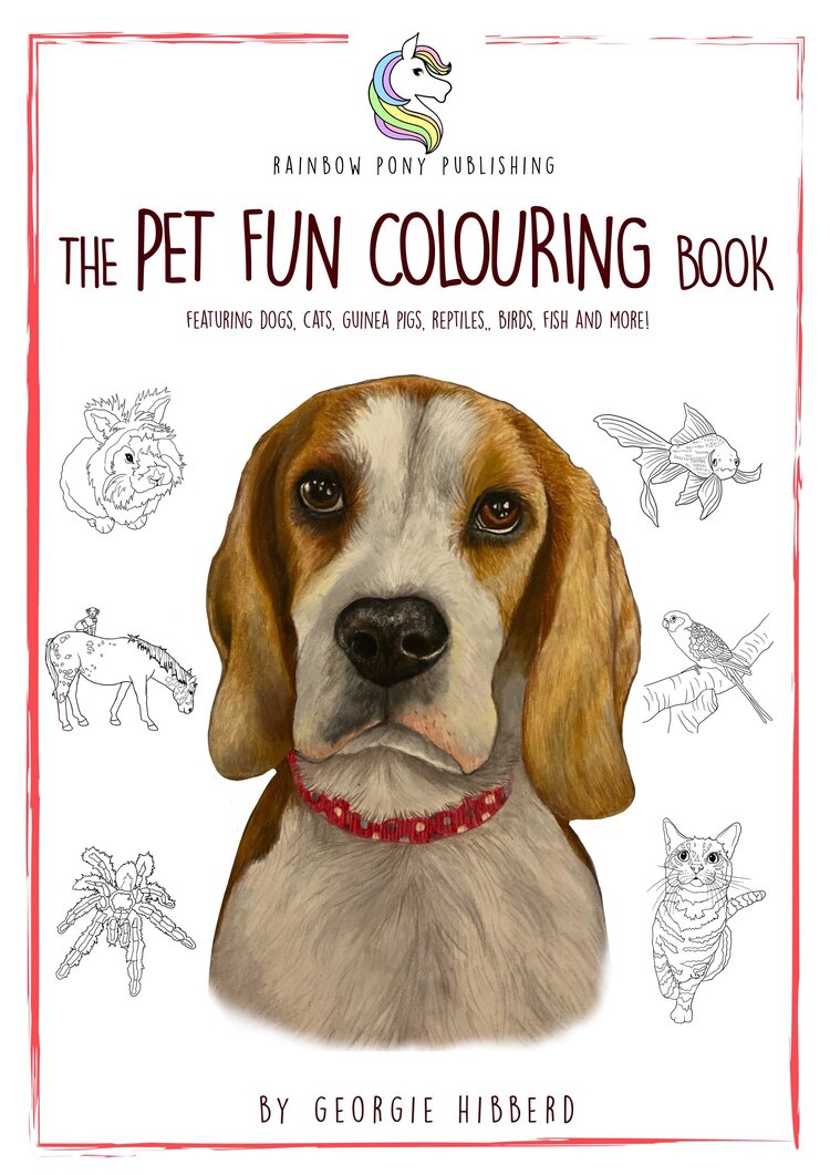 The Pet Fun Colouring Book