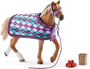 English Thoroughbred With Blanket